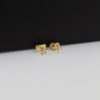 TOPO ESTRELLA DE MAR 5 X 5 MM