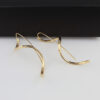 ARETE BIOLIN
