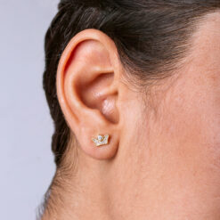 Topo Corona Circones